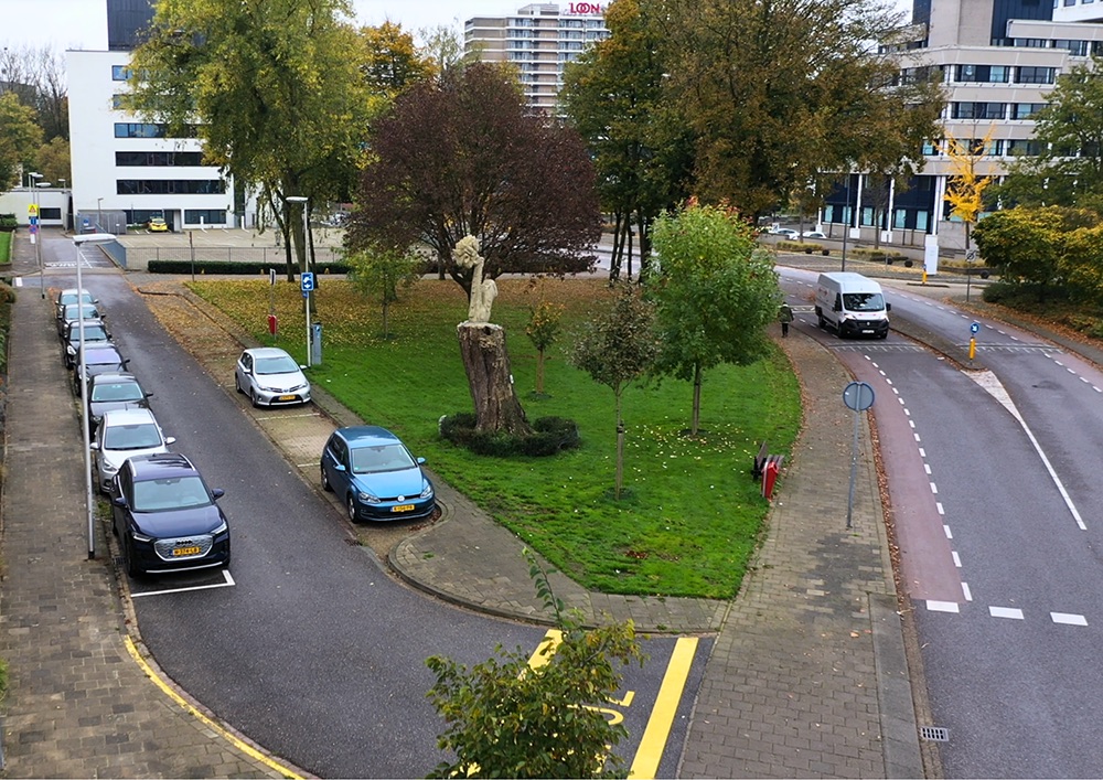 Charles Hennenpark voor